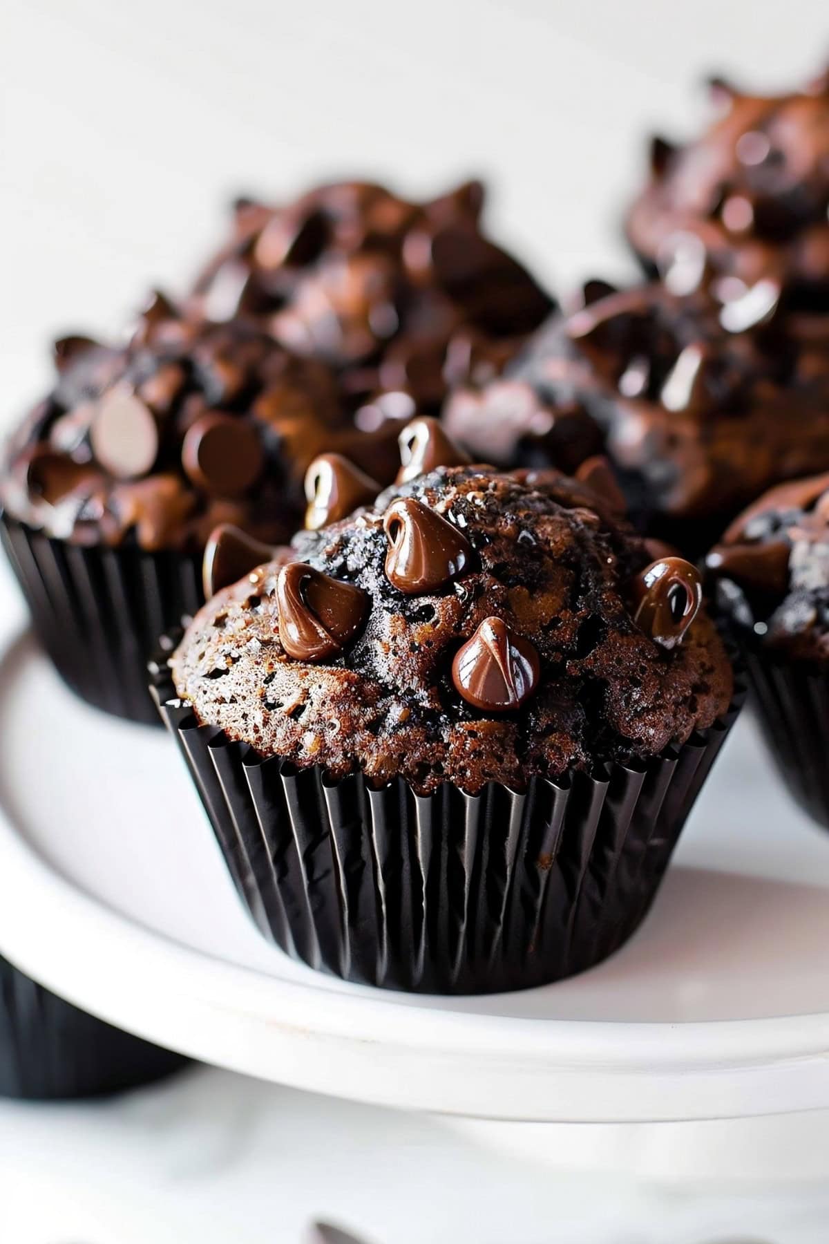 Double Chocolate Muffins in an Elegant Kitchen Stand.