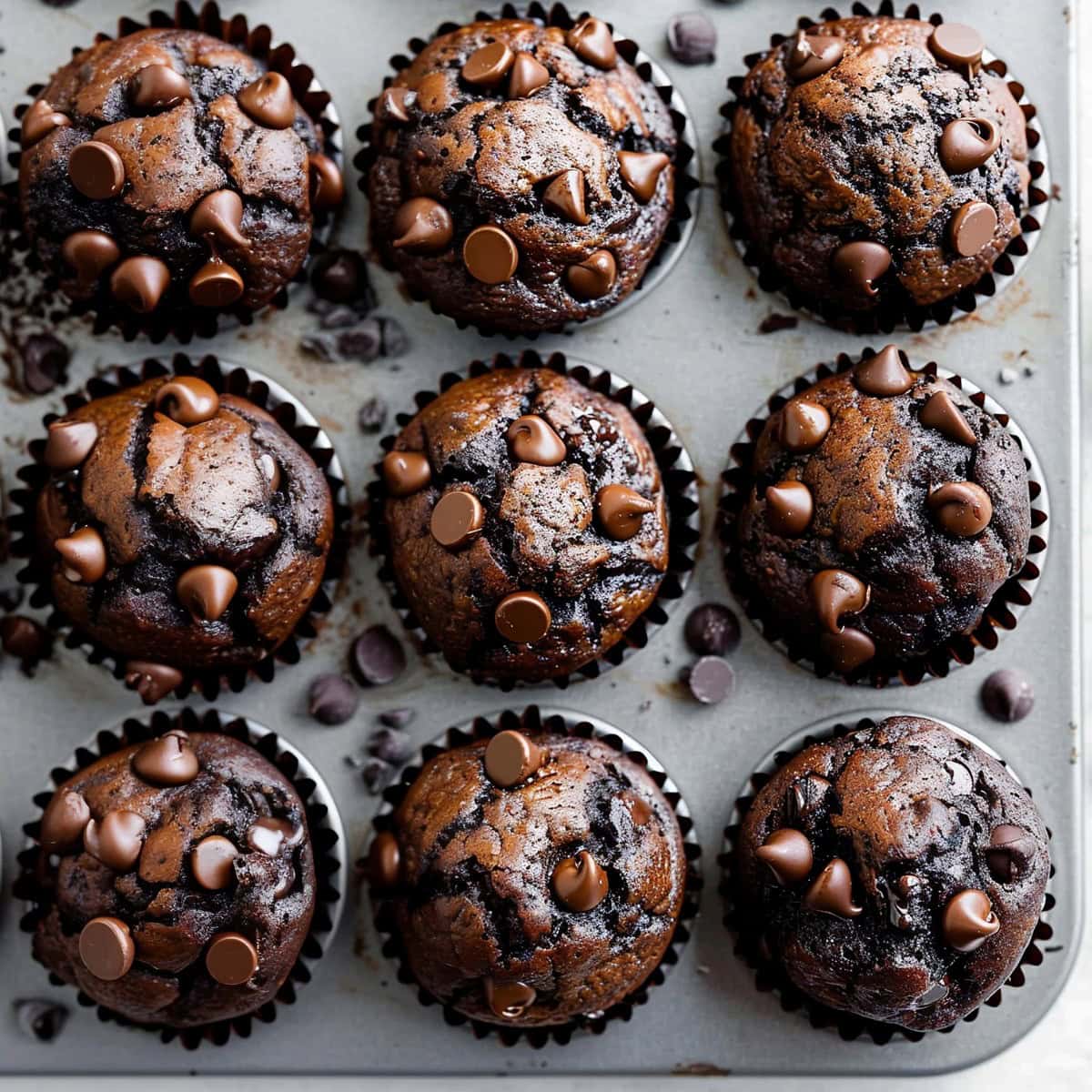 Double Chocolate Muffins - Insanely Good