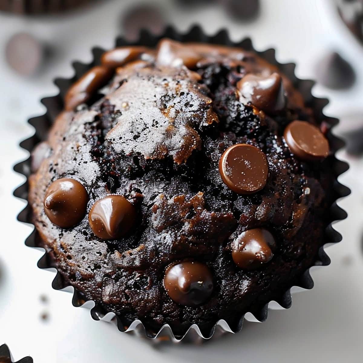 Double Chocolate Muffin, Close Up Shot