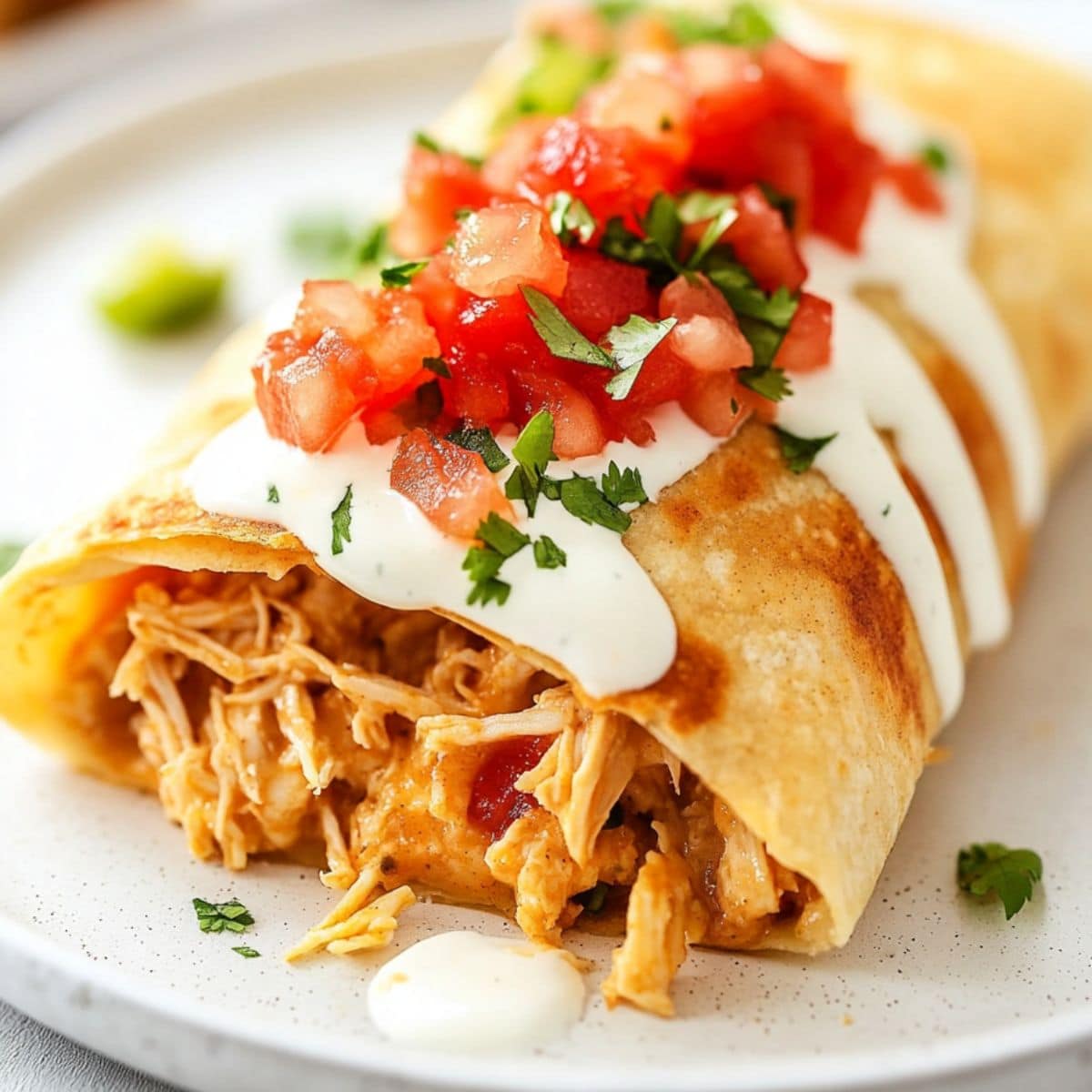 Crispy Chicken Chimichanga on a plate with sour cream and fresh salsa, close up