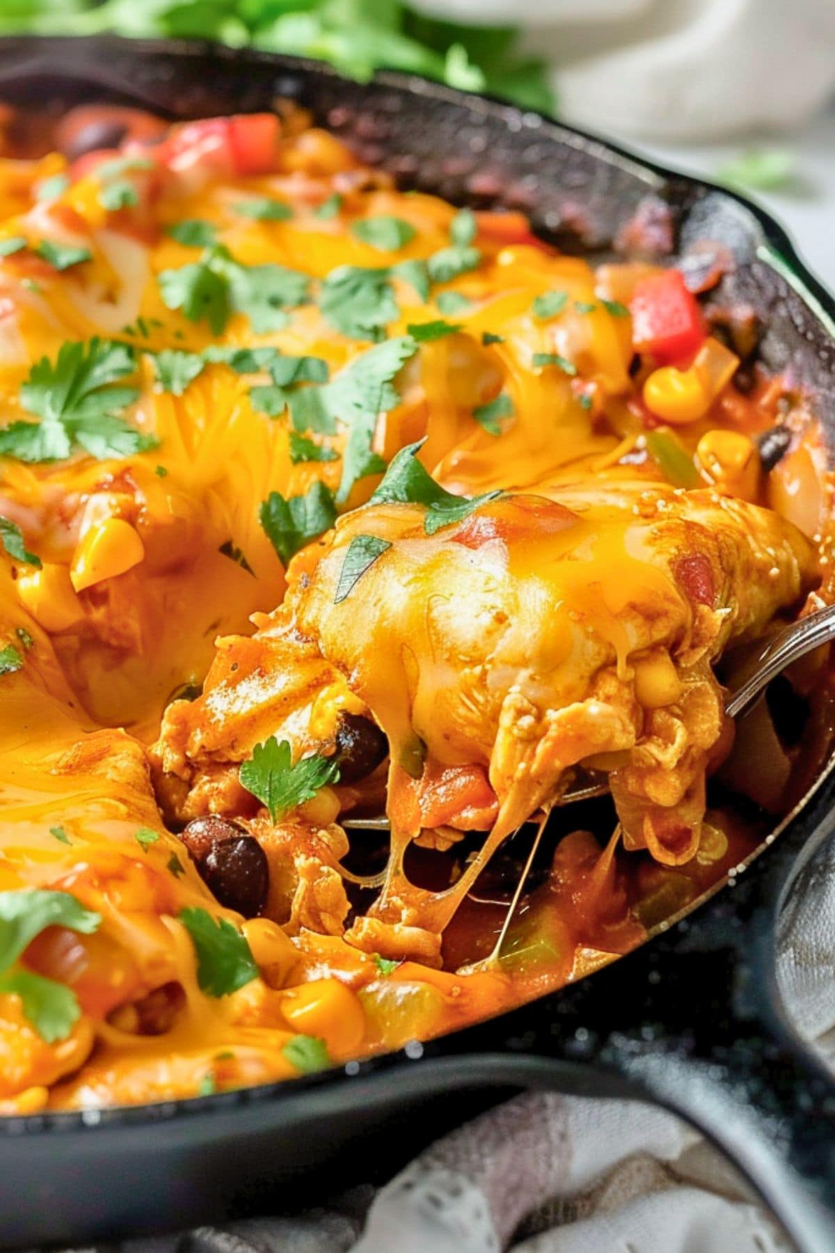 Cheesy chicken enchiladas cooked in a cast iron skillet pan.