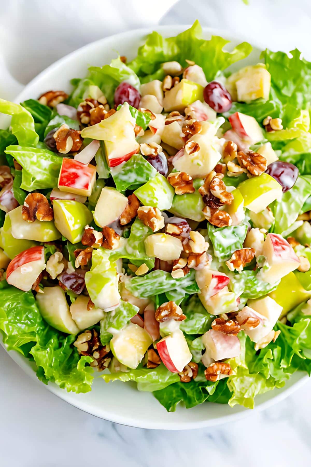 Classic Waldorf salad with crisp apples, juicy grapes, crunchy celery, and toasted nuts coated with mayonnaise dressing arranged on a bed of lettuce leaves, top view