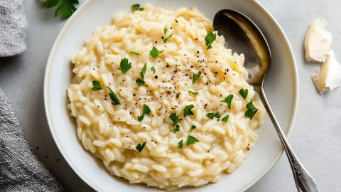 Classic homemade creamy orzo risotto in a plate.