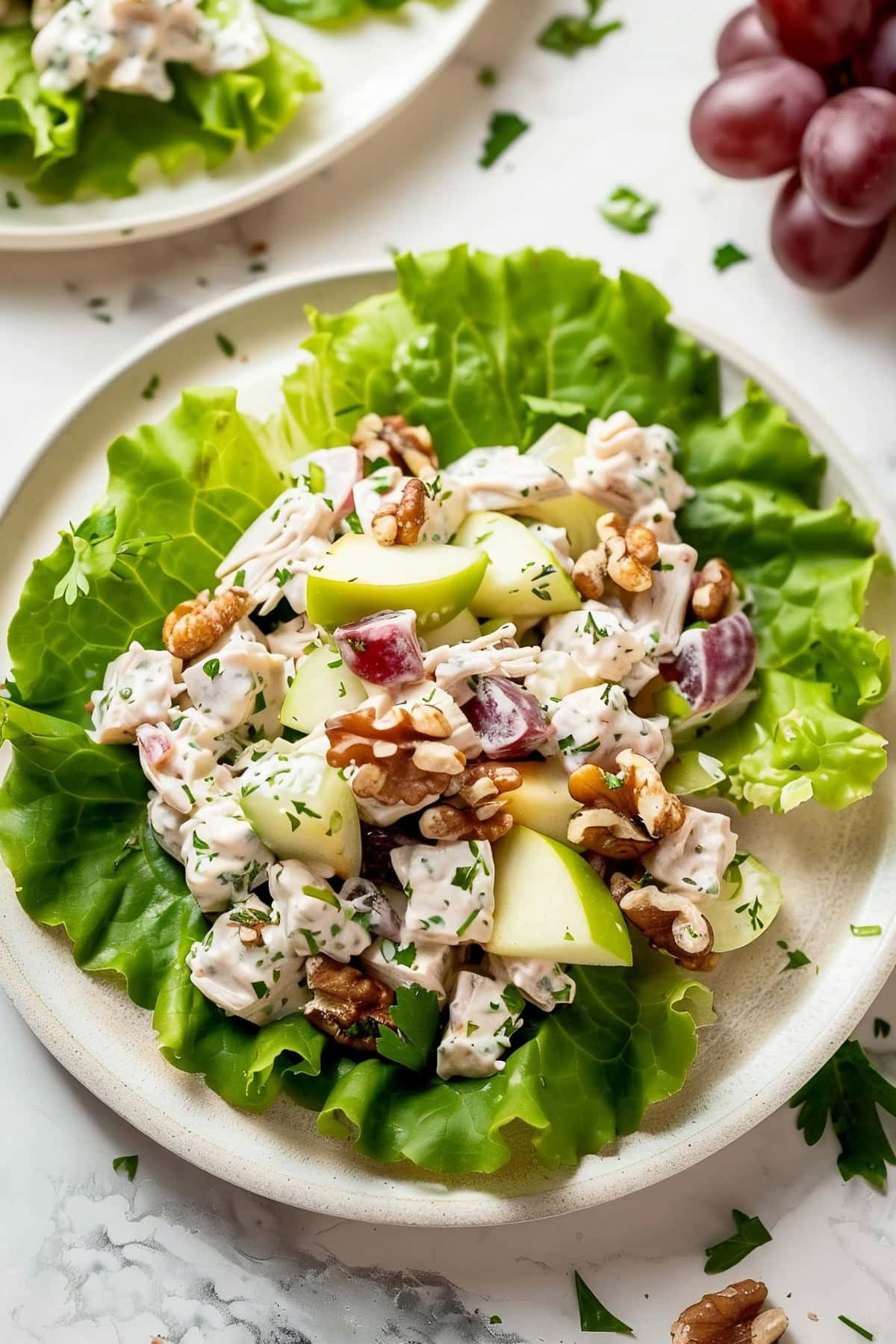 Creamy apple walnut chicken salad with lettuce in a plate.