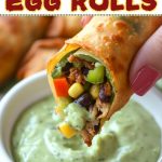 Southwest Egg Rolls