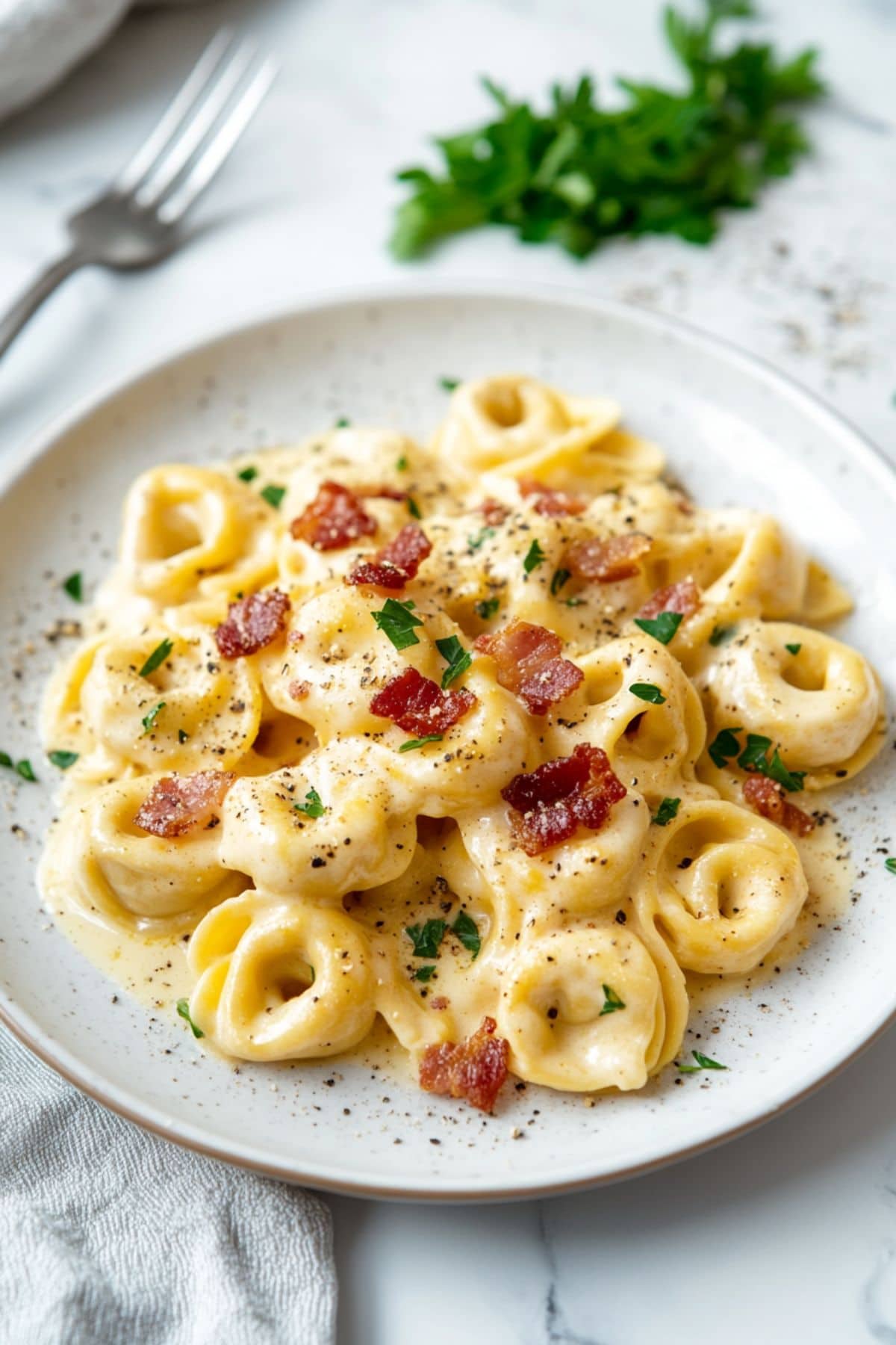 Tortellini pasta coated in carbonara sauce served in a white plate.