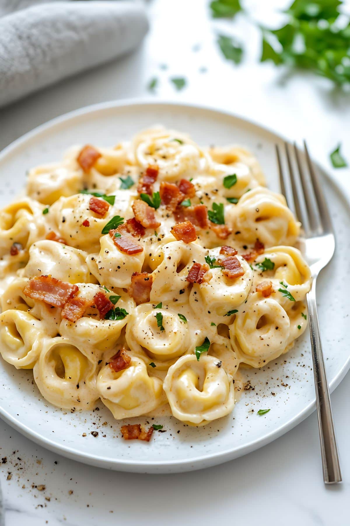 Serving of creamy tortellini carbonara in a plate with bacon bits.