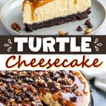 Turtle Cheesecake