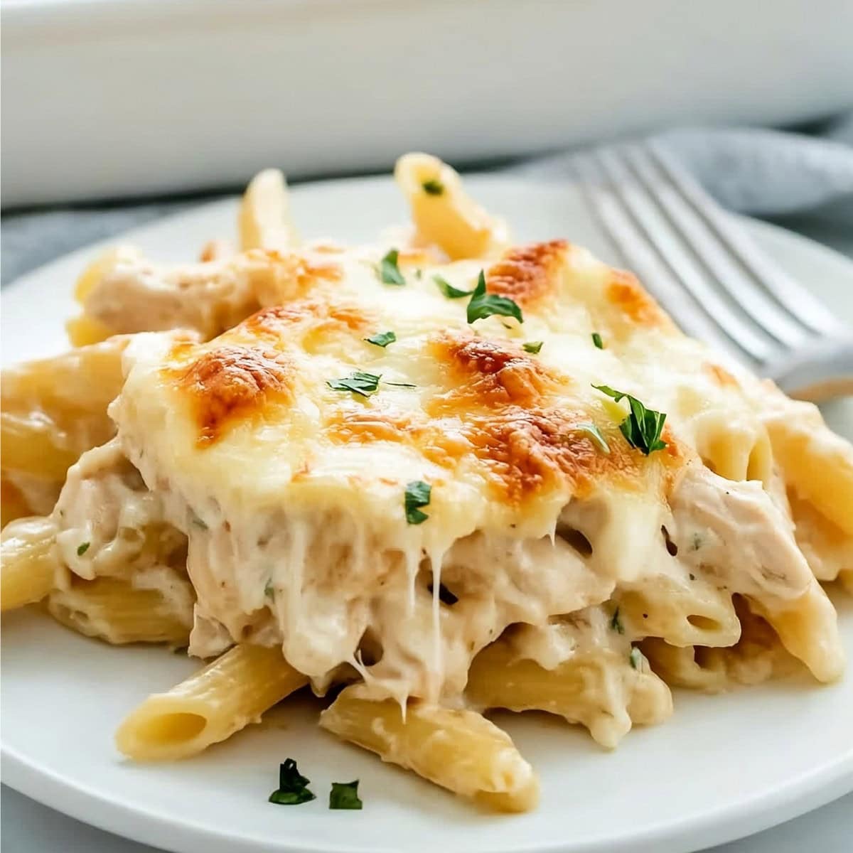 A serving of chicken Alfredo pasta with a garnish of fresh parsley 