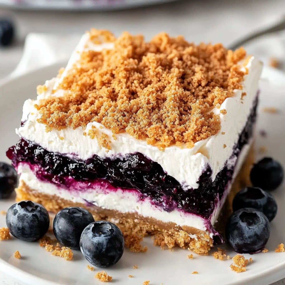 Blueberry yum yum serving with graham crumbles served on a white plate with fresh blueberries on the side