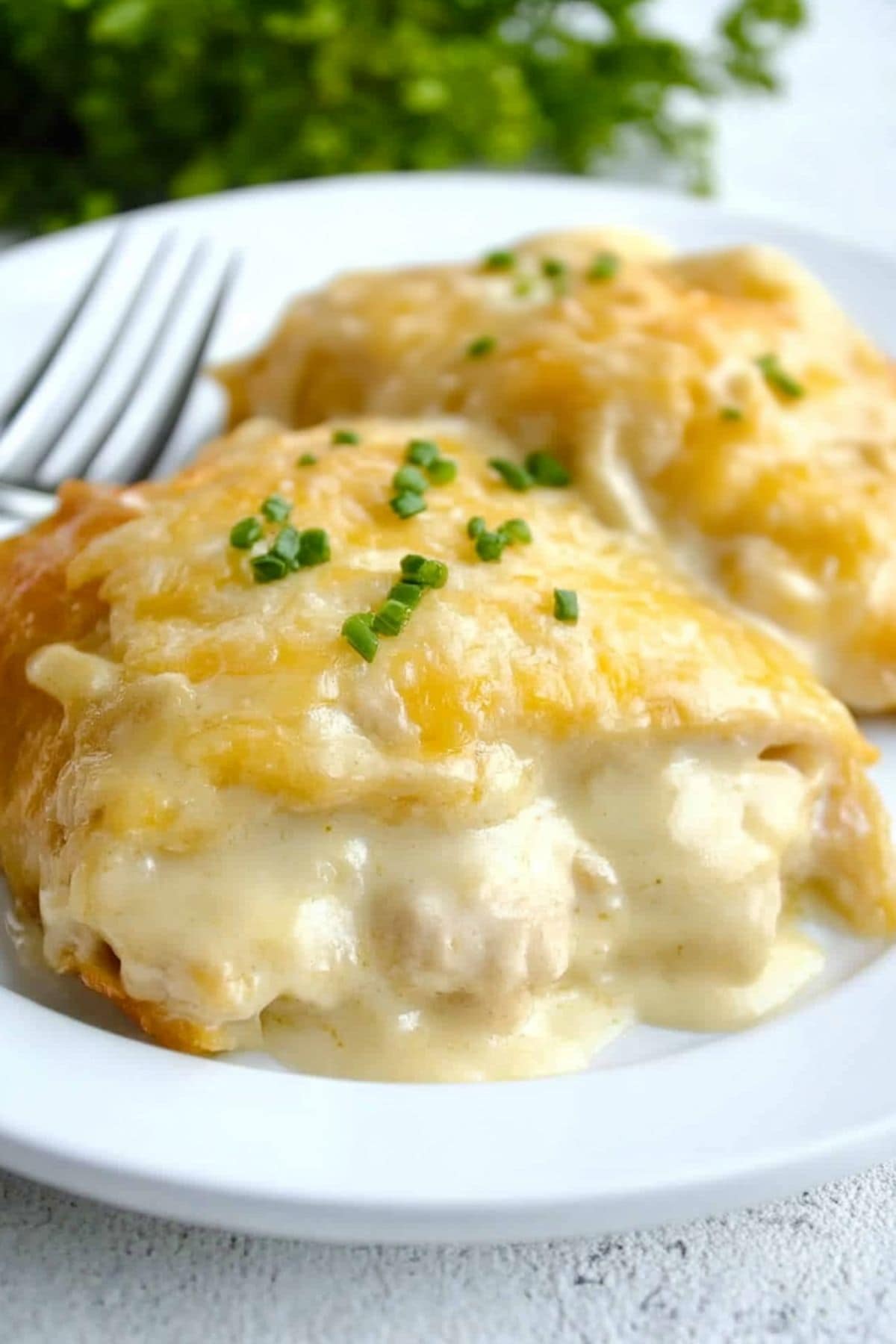 Chicken crescent rolls serving in a white plate.