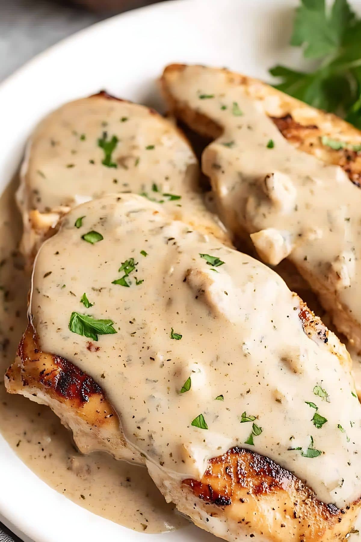 Chicken with cream cheese sauce served on a white plate.