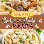 Creamy Chicken and Mushroom Pasta