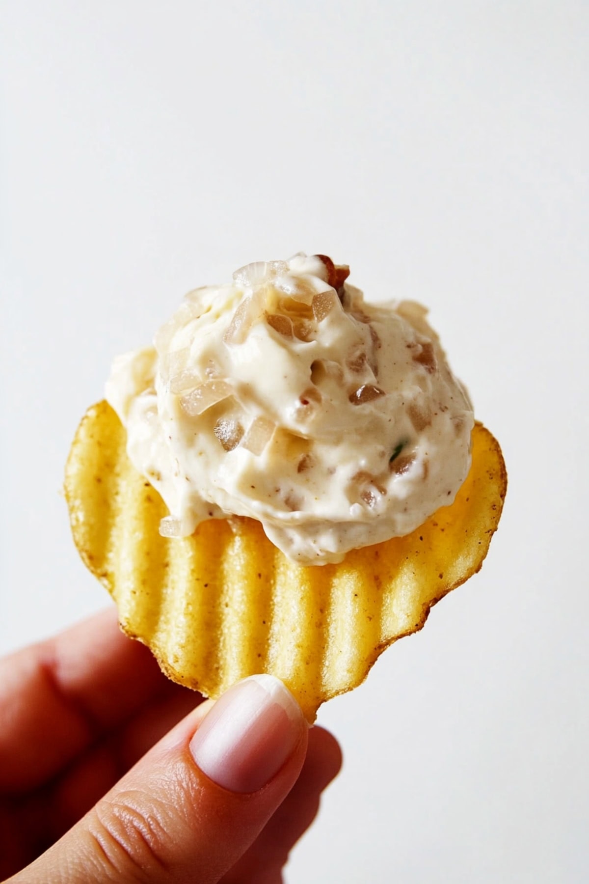 Potato chip dipped in French onion dip, close up