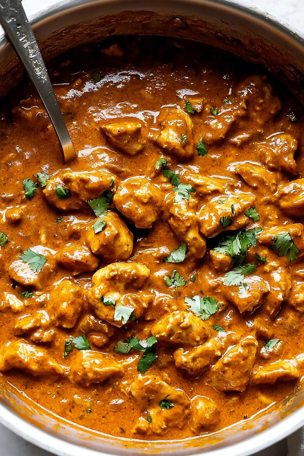 Indian butter chicken, close-up