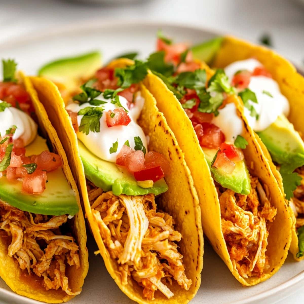 Corn tortillas filled with shredded rotisserie chicken topped with sliced avocados, pica de gallo and sour cream.