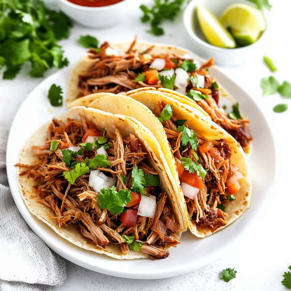 Plate of carnitas with pulled pork filling and salsa.