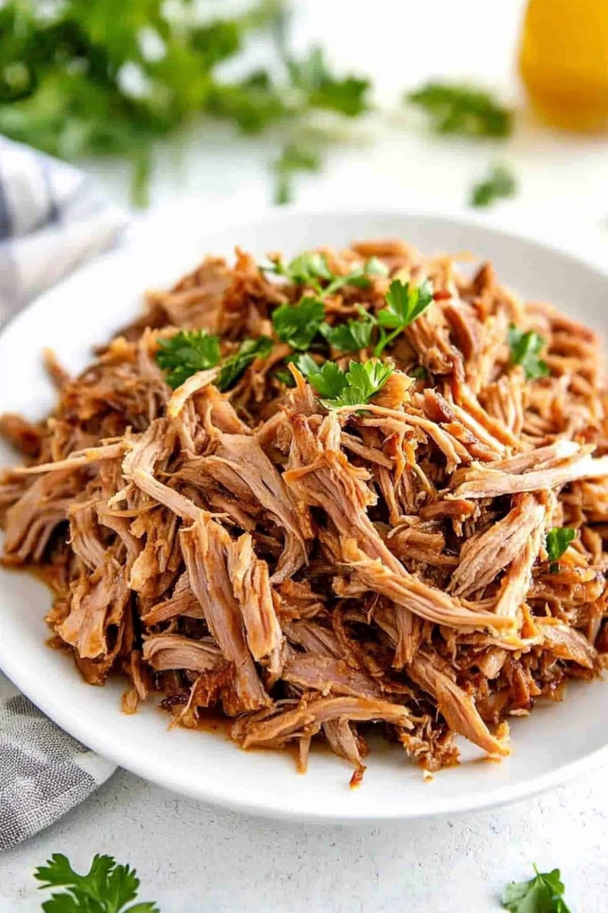 Slow cooked shredded pork on a plate, garnished with parsley.