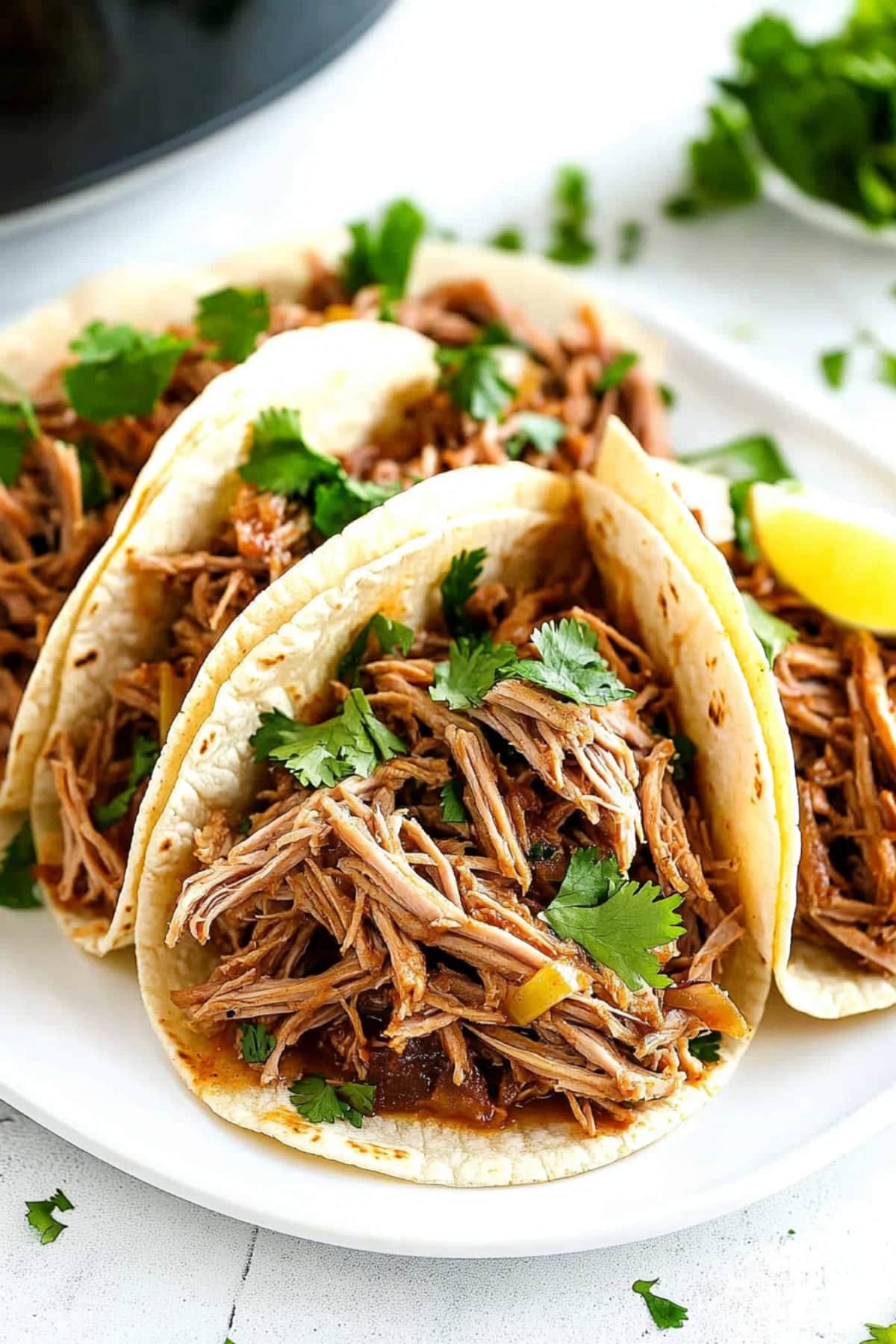 Carnitas filled with slow cooked shredded pork.