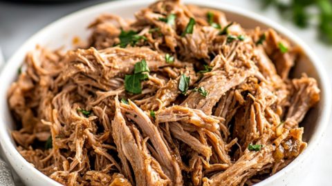 Shredded slow cooked marinated Cuban mojo in a plate.