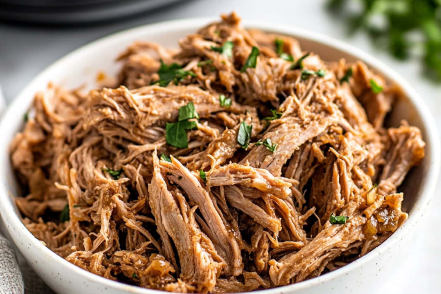 Shredded slow cooked marinated Cuban mojo in a plate.