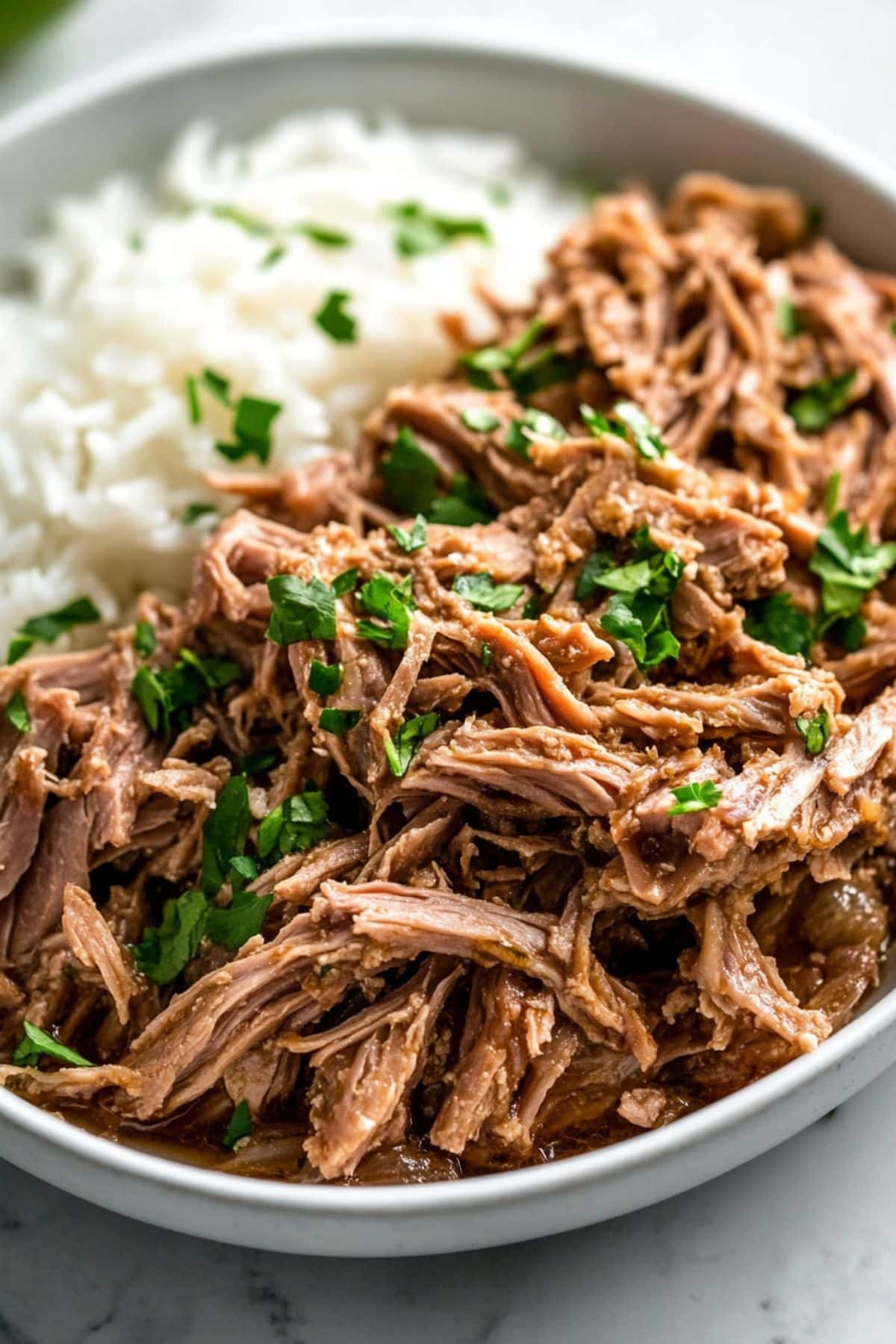 Cuban mojo pork serve with white rice in a plate.