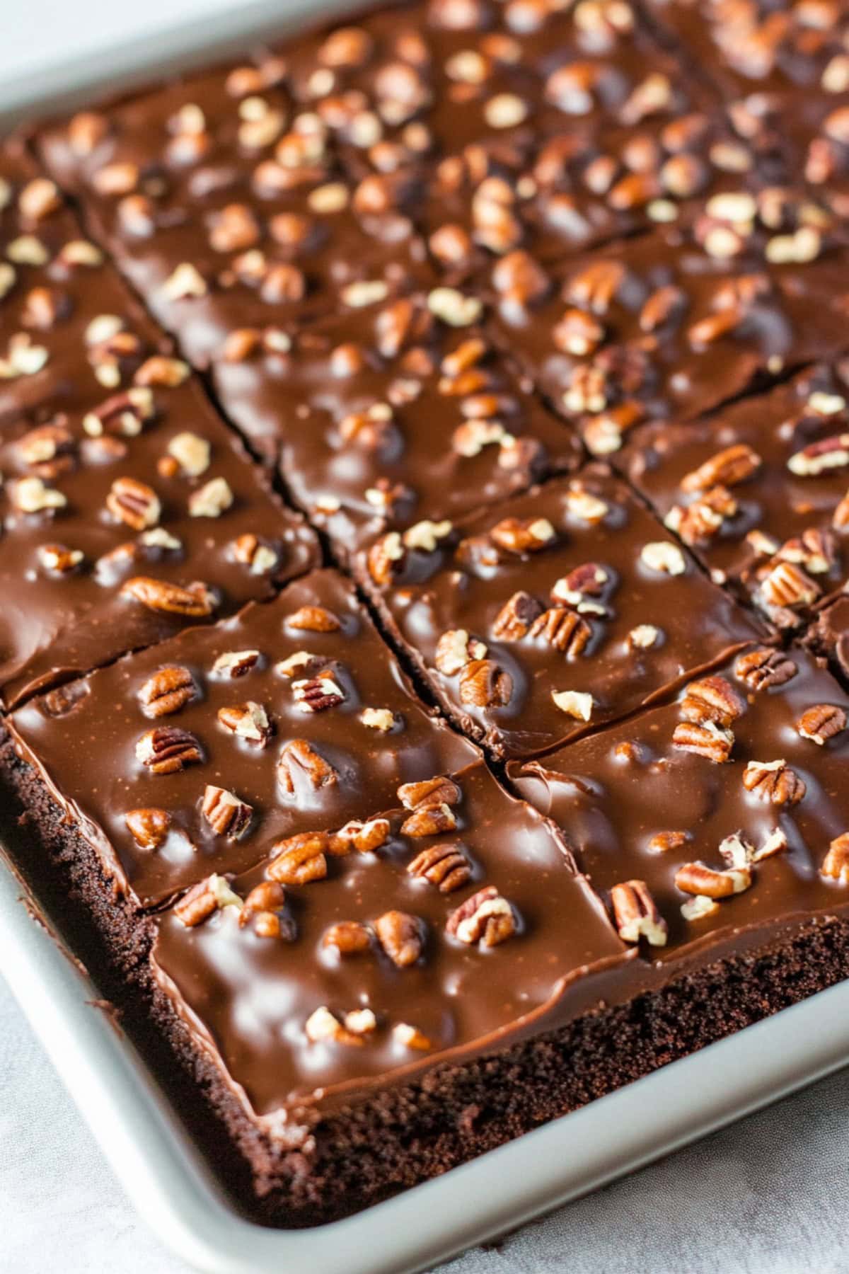 Texas sheet cake brownies with a shiny layer of chocolate icing, topped with chopped nuts