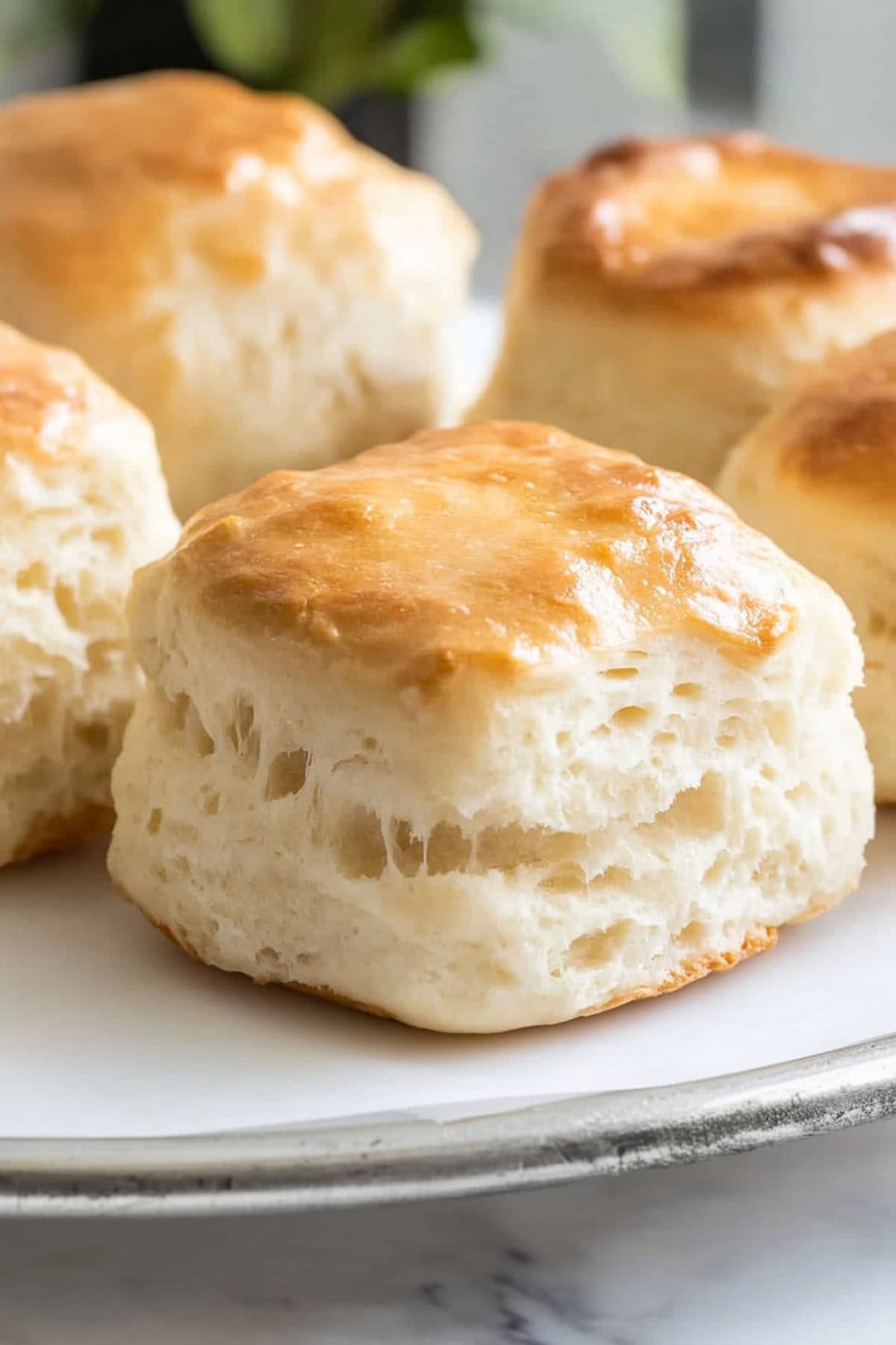 Homemade buttery Angel biscuits arranged on a white plate