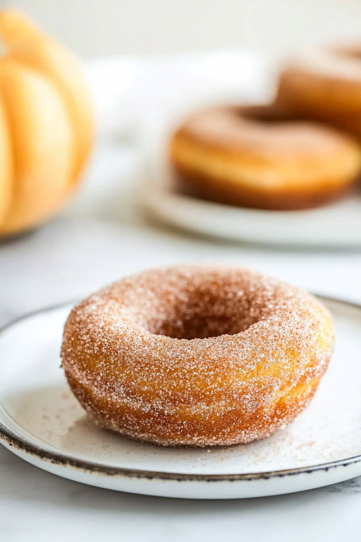 Baked pumpkin donut coated in cinnamon sugar served on a white plate, side view