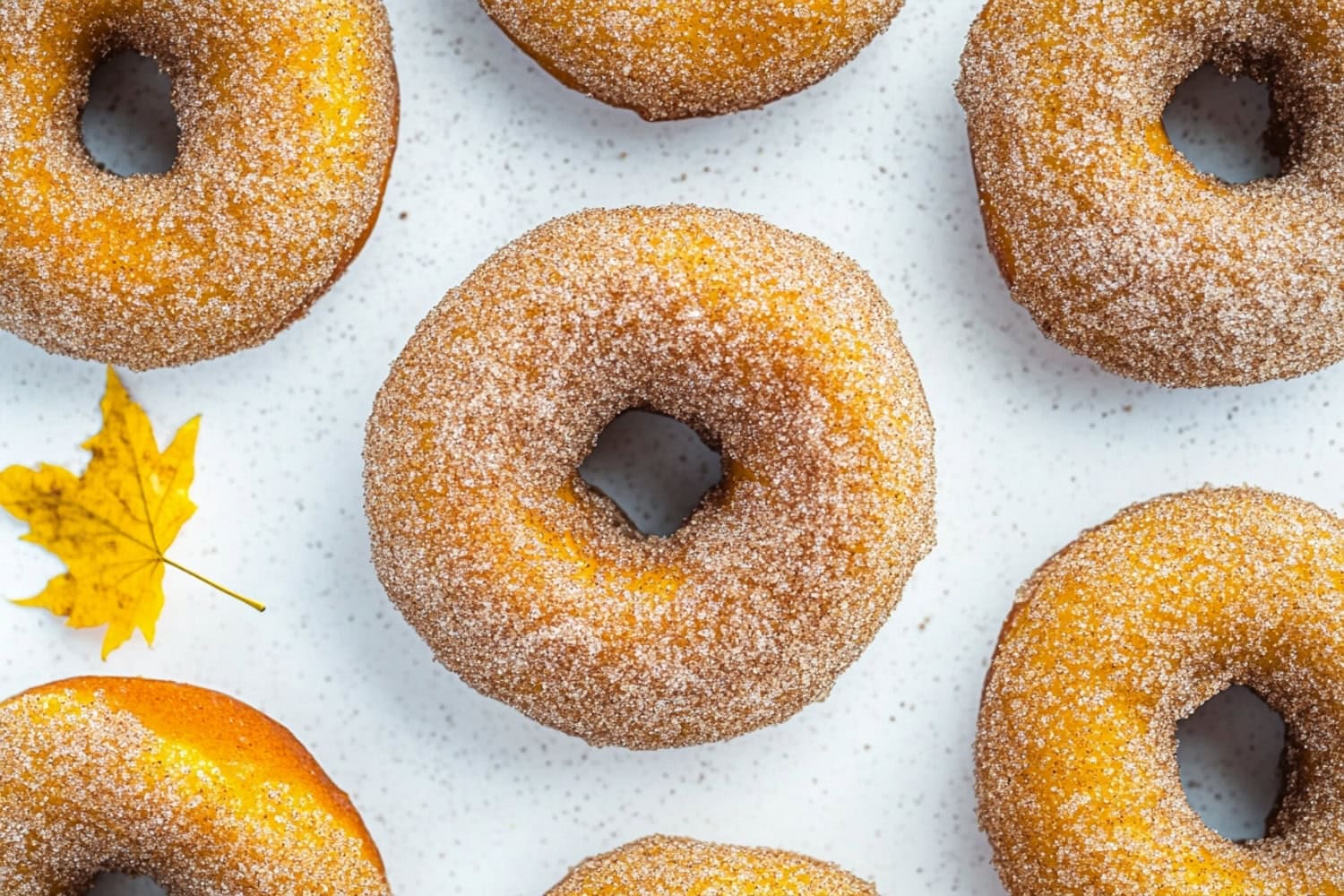 Sugar cinnamon coated pumpkin donuts flat lay on a white surface.