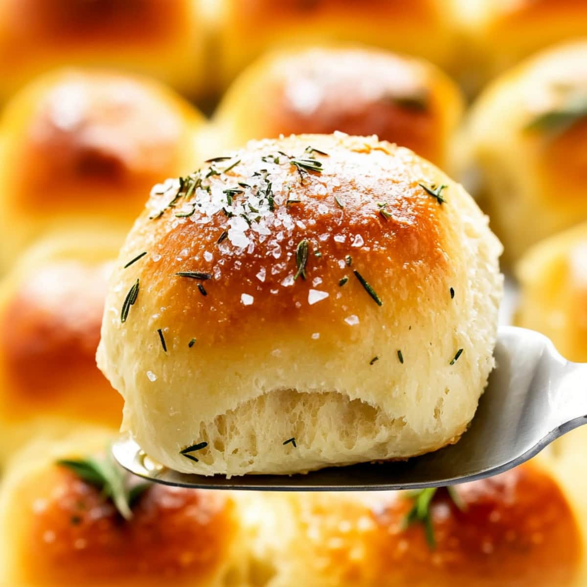 Close up of a rosemary dinner rolled topped with sea salt and fresh rosemary