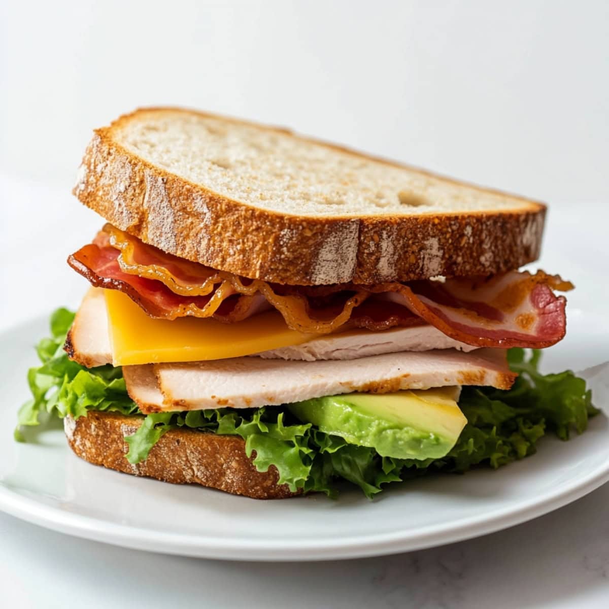 Whole turkey avocado sandwich with lettuce, tomato and cheese served in a white plate.