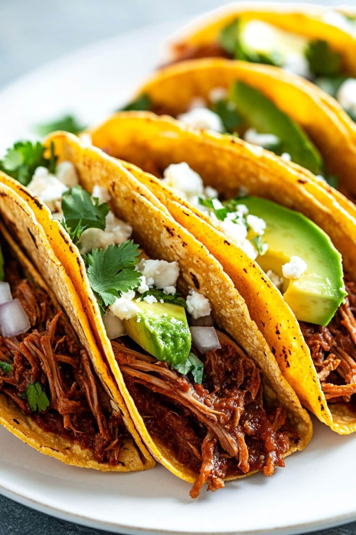 Corn tortilla filled with shredded barbacoa, avocado sliced, cheese and onions. 