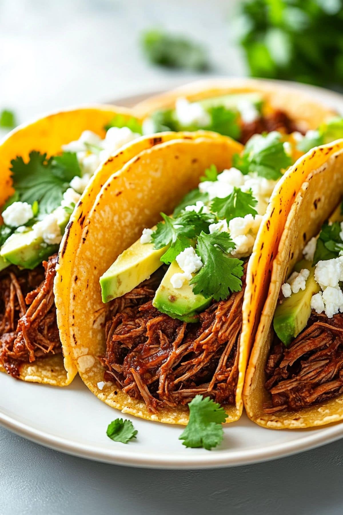 Barbacoa tacos garnished with avocados, crumbled cheese and parsley.