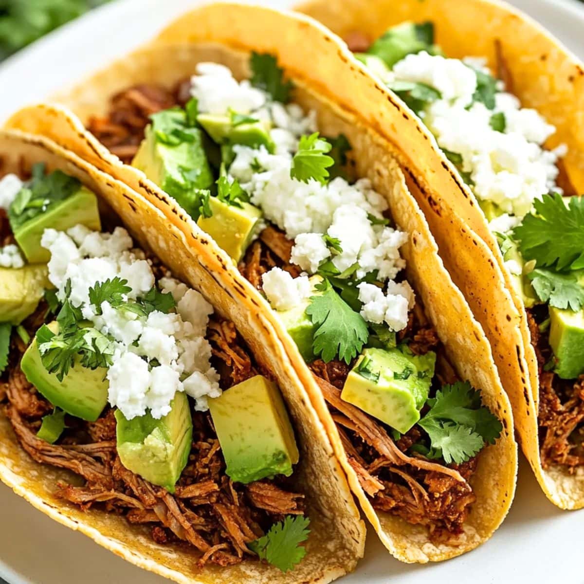 Barbacoa shredded served in corn tortilla topped with chopped avocado, crumbled cheese and parsley. 