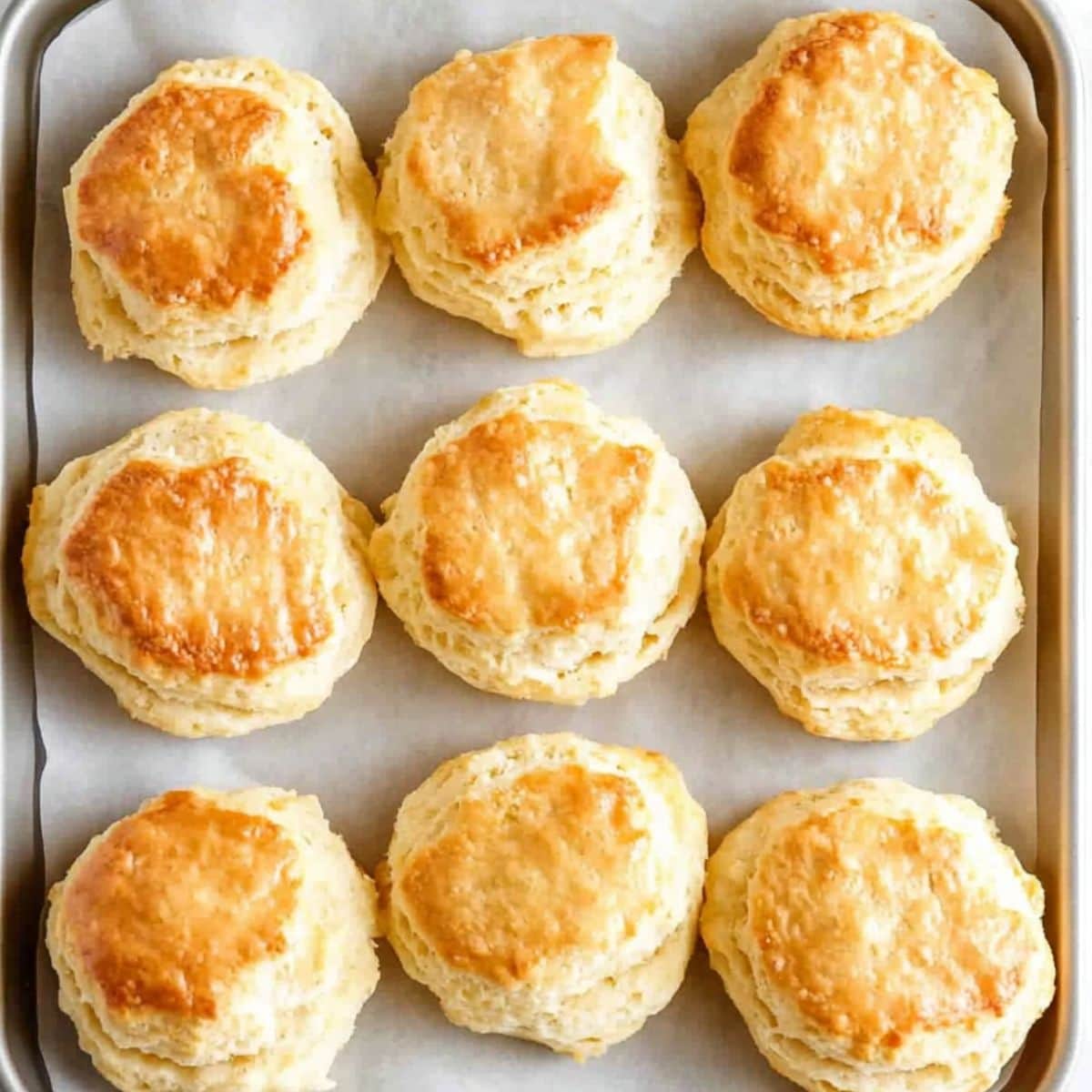 Buttermilk biscuits arranged in a sheet pan with parchment paper.