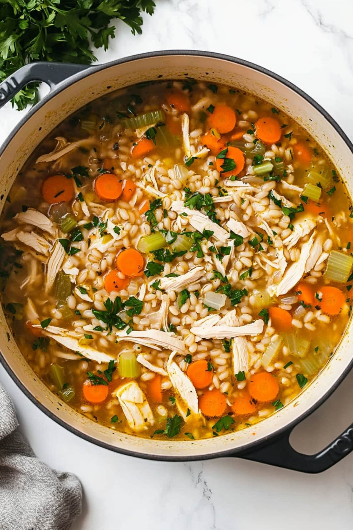 Steaming chicken barley soup served in a large pot with herbs and veggies.