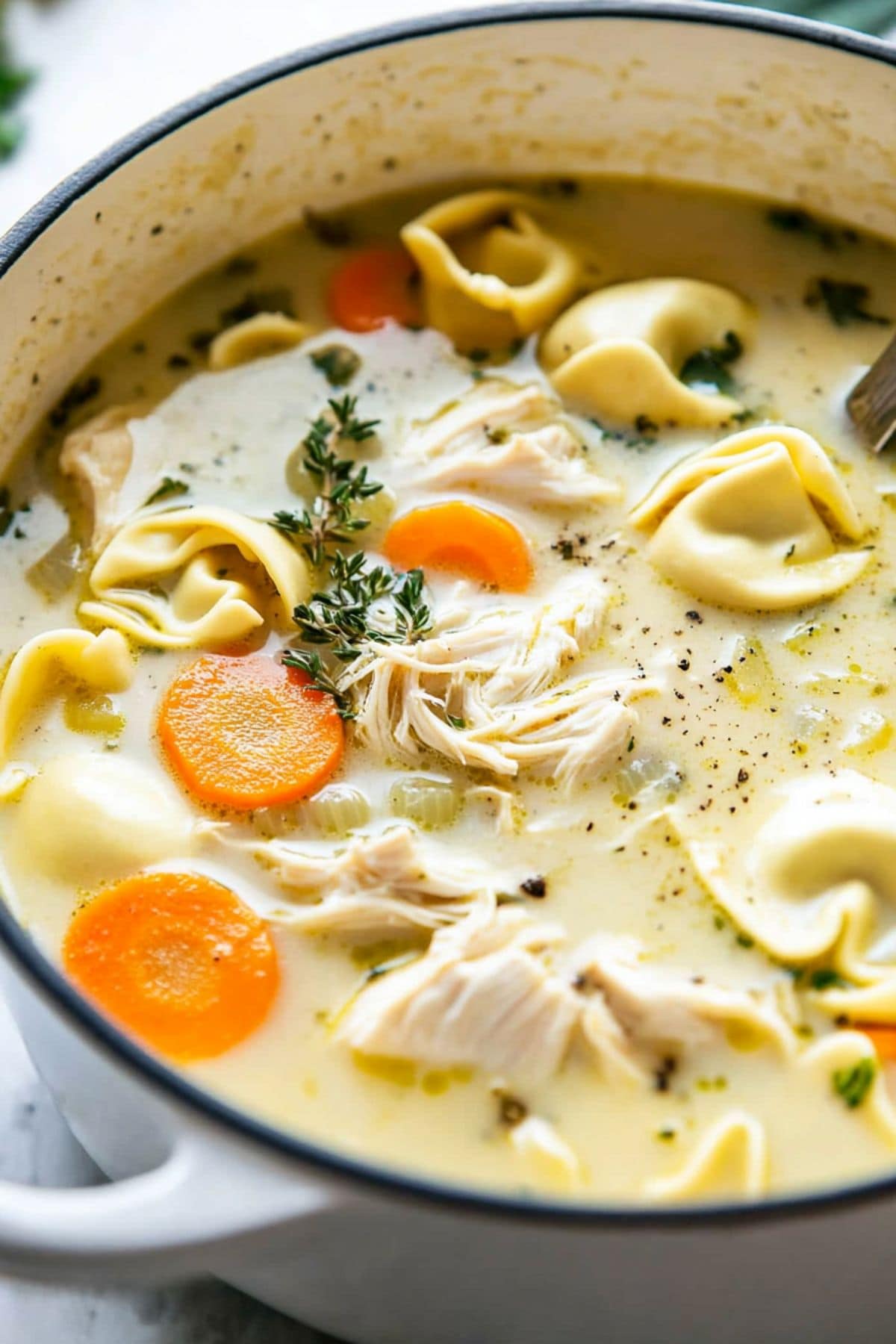 Chicken tortellini soup with tortellini pasta, carrots, shredded chicken and herbs with creamy soup.