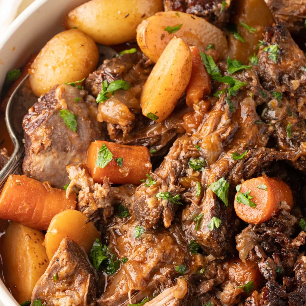 Close up shot of pot roast in a bowl. Top view