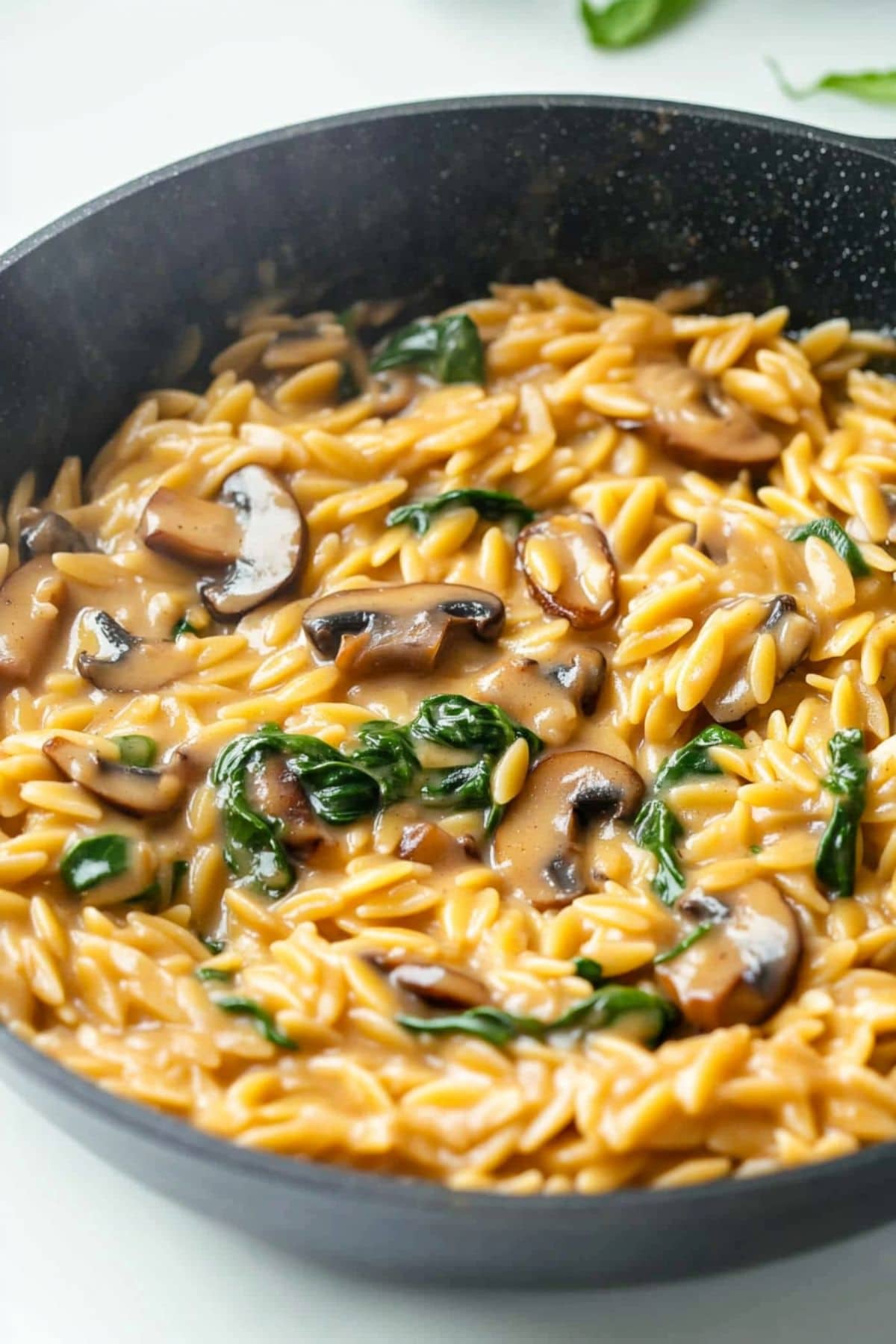 Mushroom orzo in a skillet pan. 