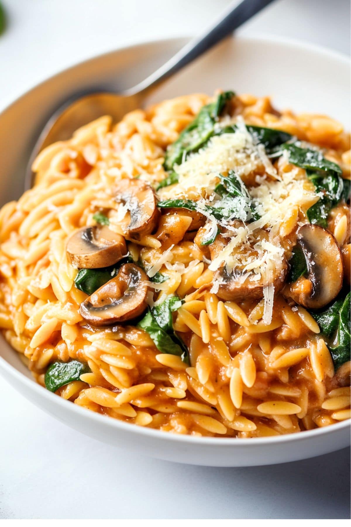 A white bowl with a serving of mushroom orzo garnished with parmesan cheese.