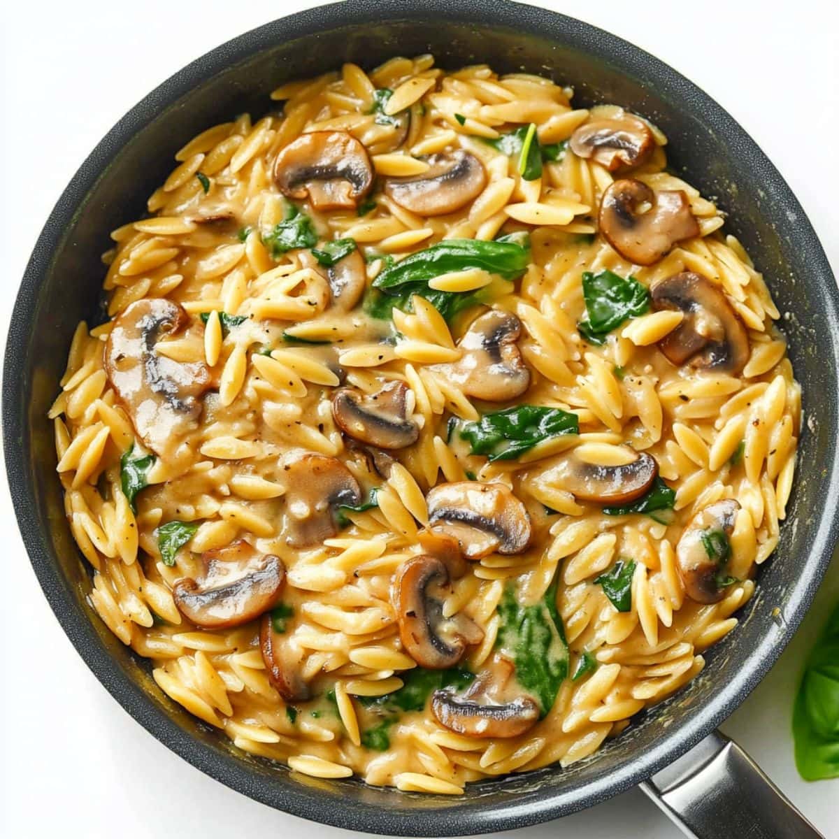 Orzo pasta cooked with mushroom and savory sauce in a skillet pan.