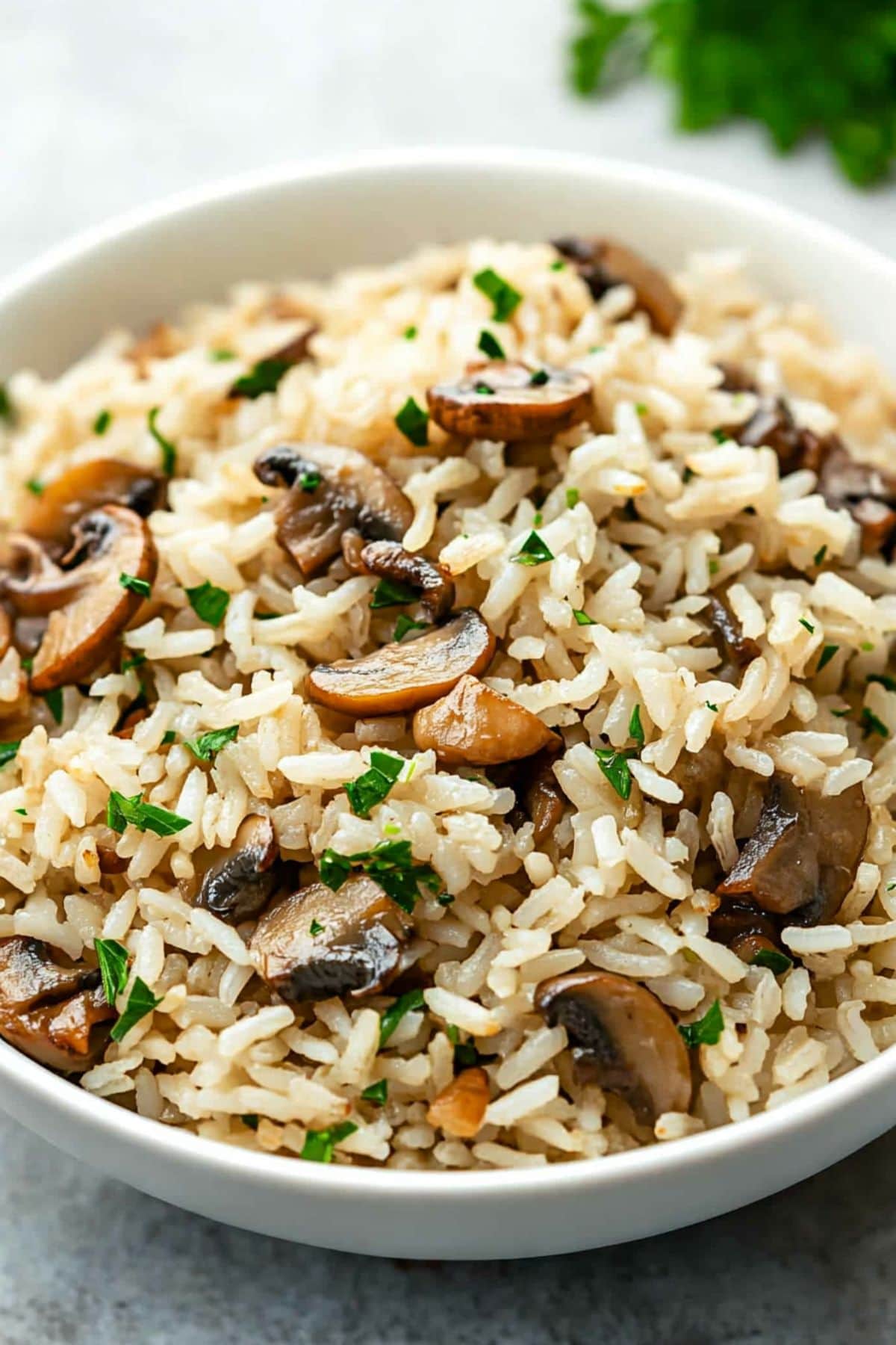 Cooked white rice with sliced mushroom served in a white bowl.