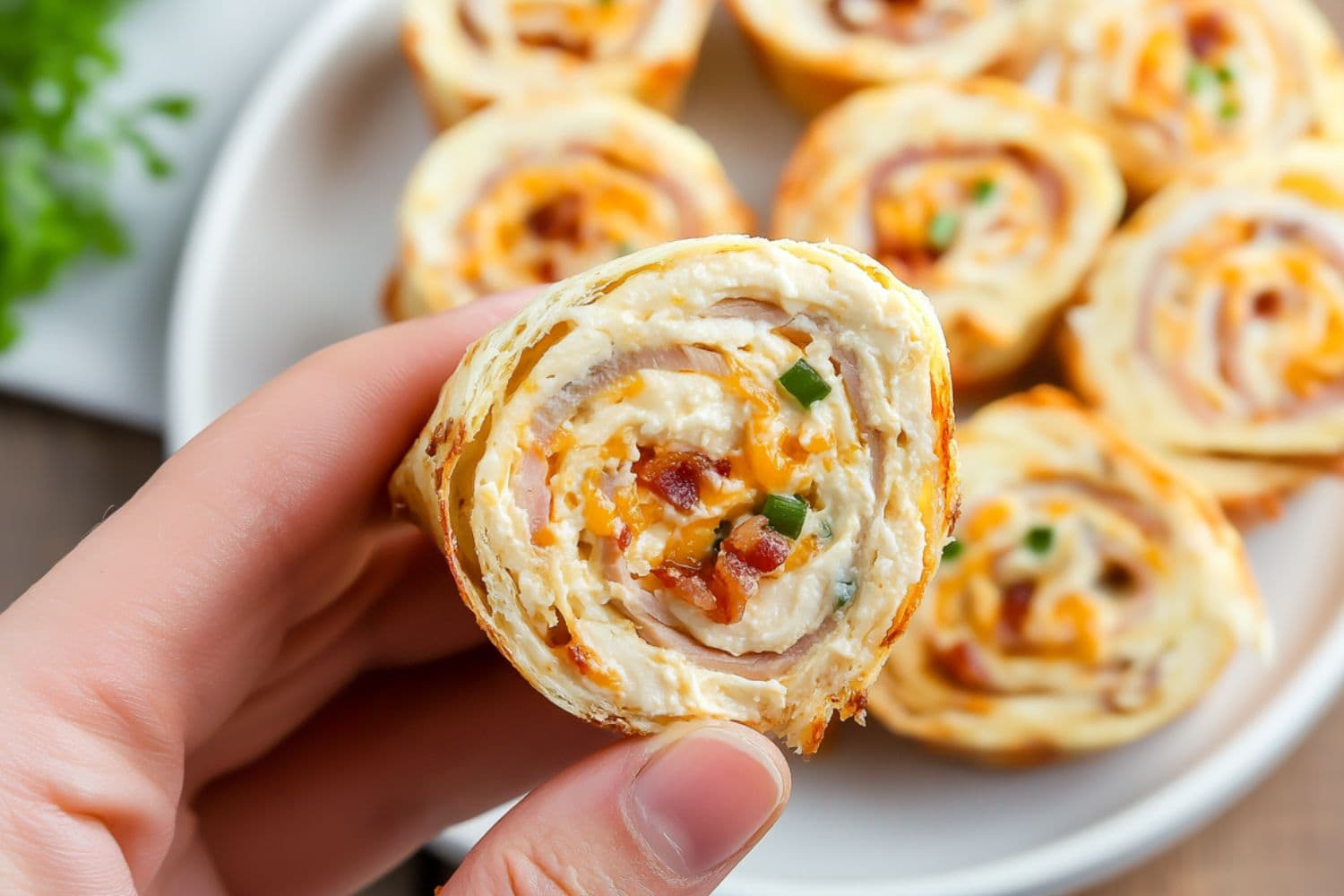 Hand holding a piece of sliced turkey pinwheels.