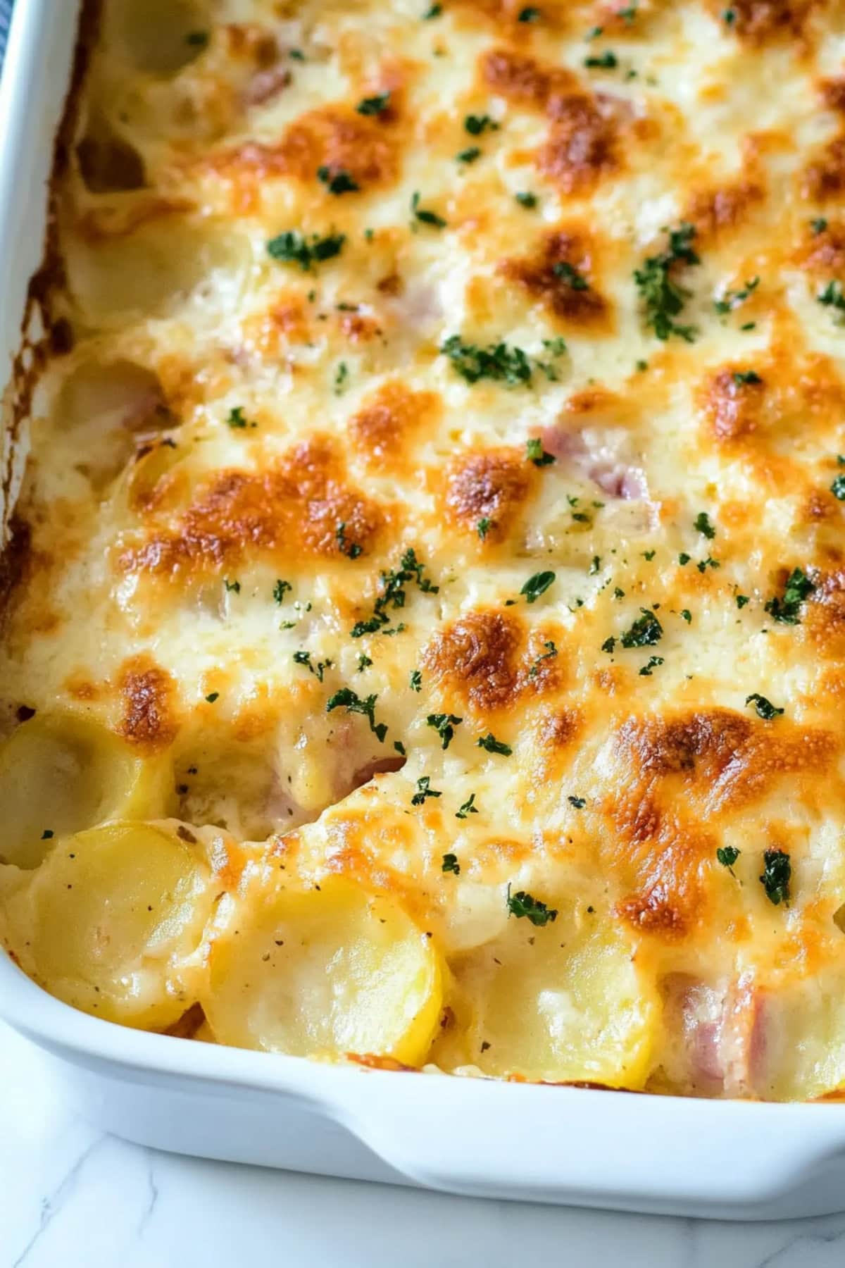 A baking dish filled with scalloped potatoes and ham.