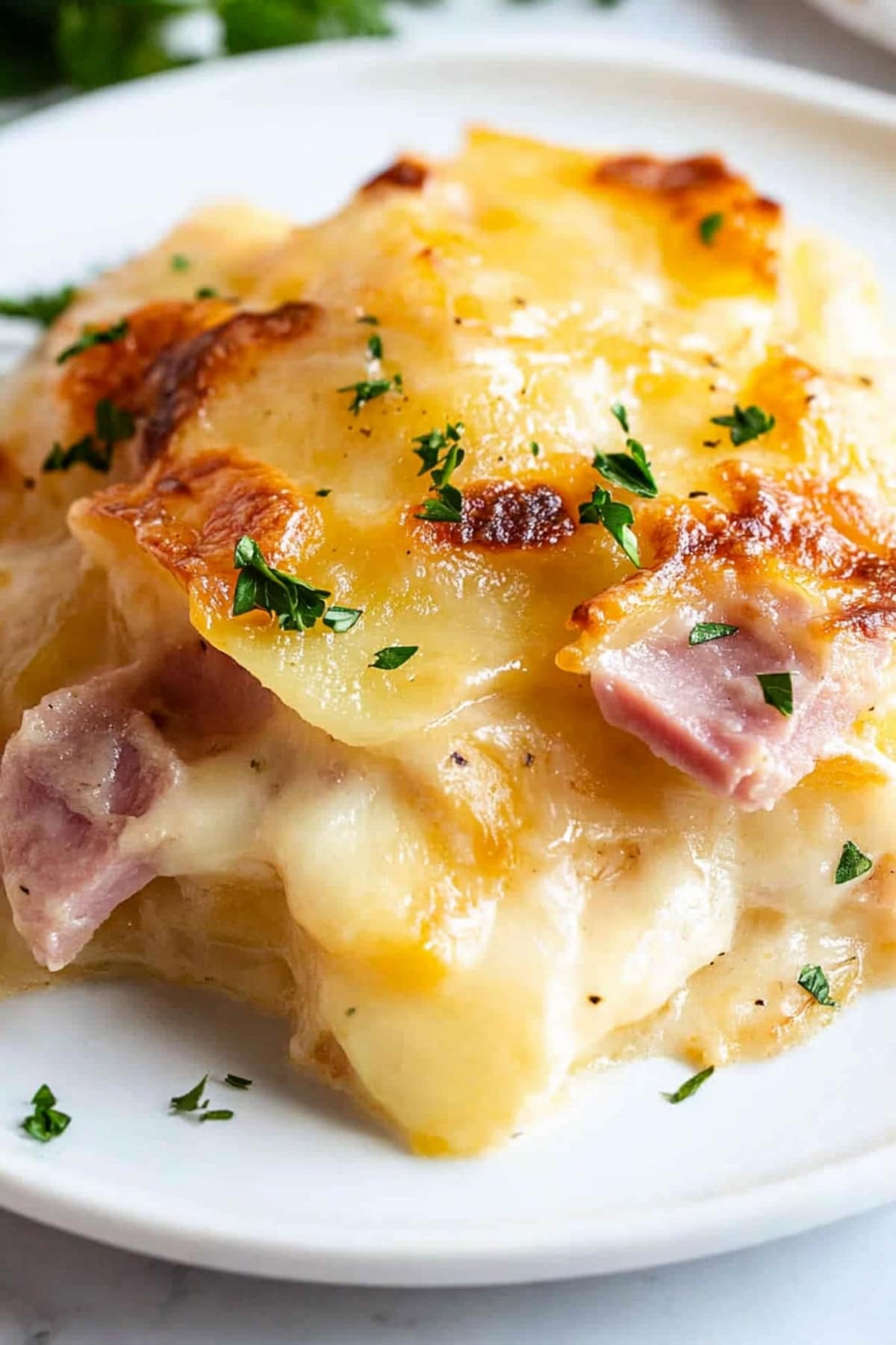 A close-up view of creamy scalloped potatoes layered with ham slices, topped with melted golden cheese.