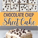 Chocolate Chip Sheet Cake