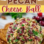 Cranberry Pecan Cheese Ball