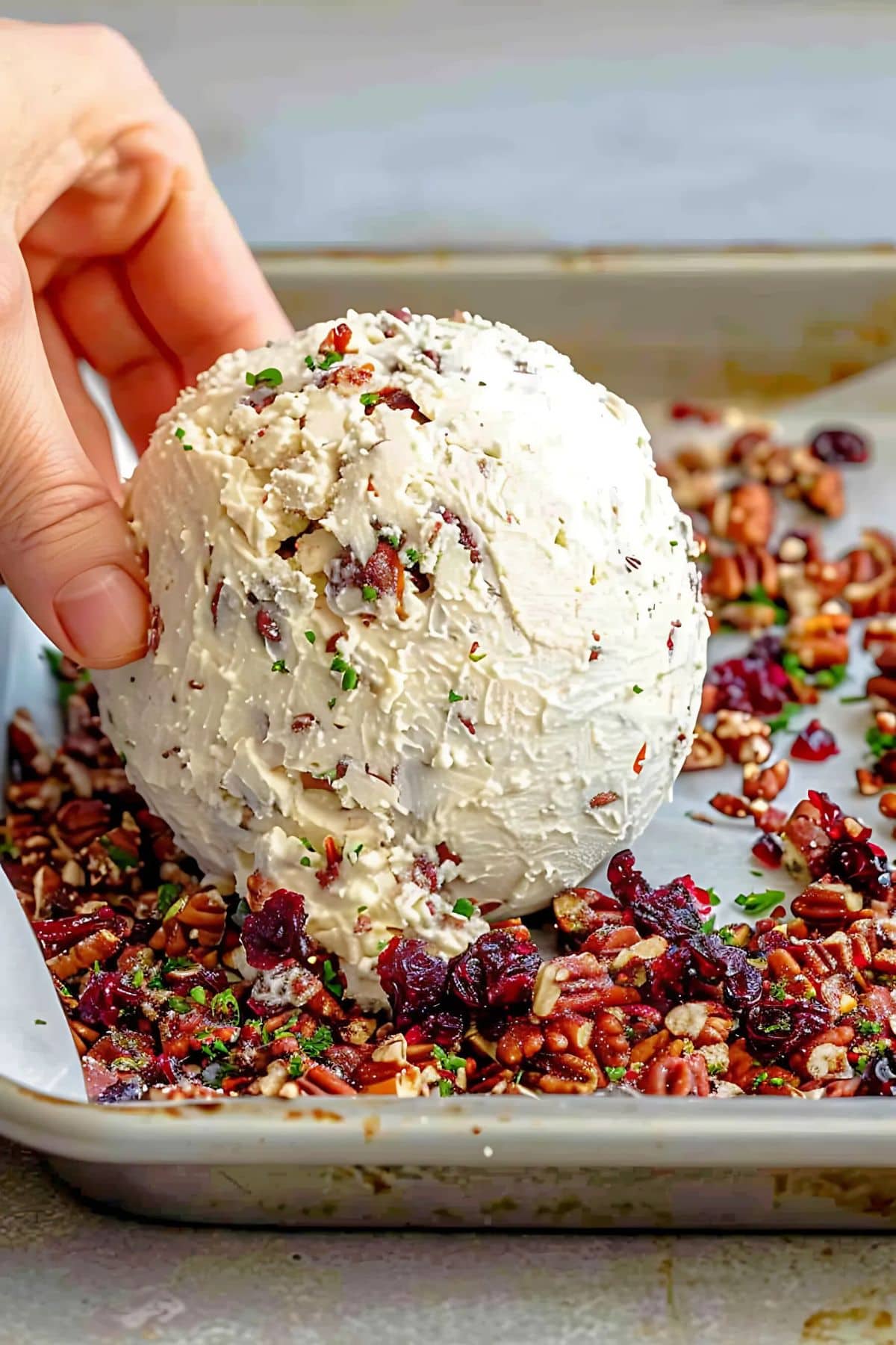 Cream cheese ball on a sheet pan with chopped pecans and dried cranberries.