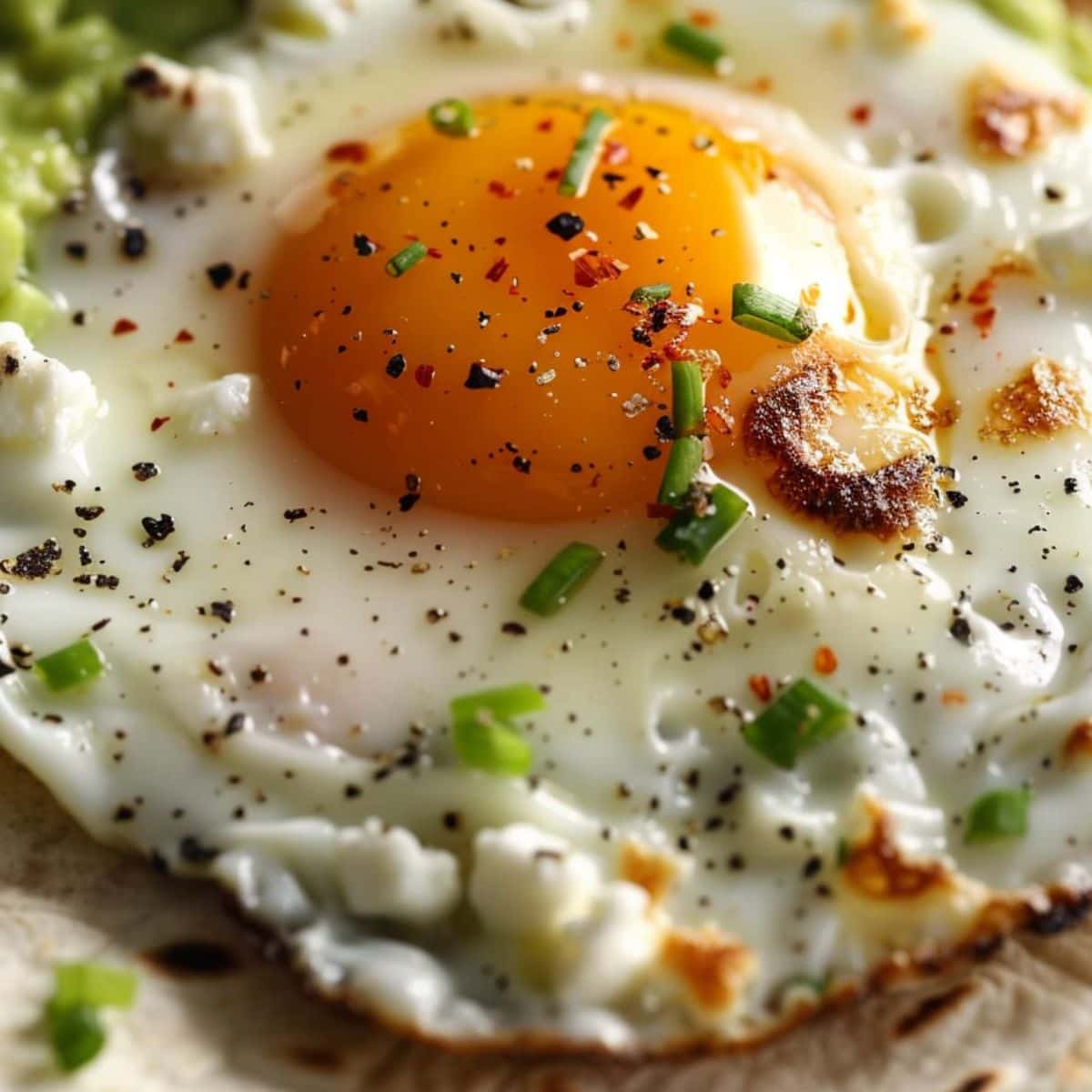 Fried eggs with feta cheese on edges served on top of avocado spread in a tortilla.